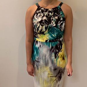 Amazing Elie Tahari dress